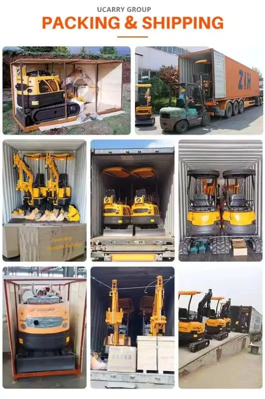 Hot Sale 1 Ton Mini Excavator Xn13e with Euro V Emission Engine Mini Digger