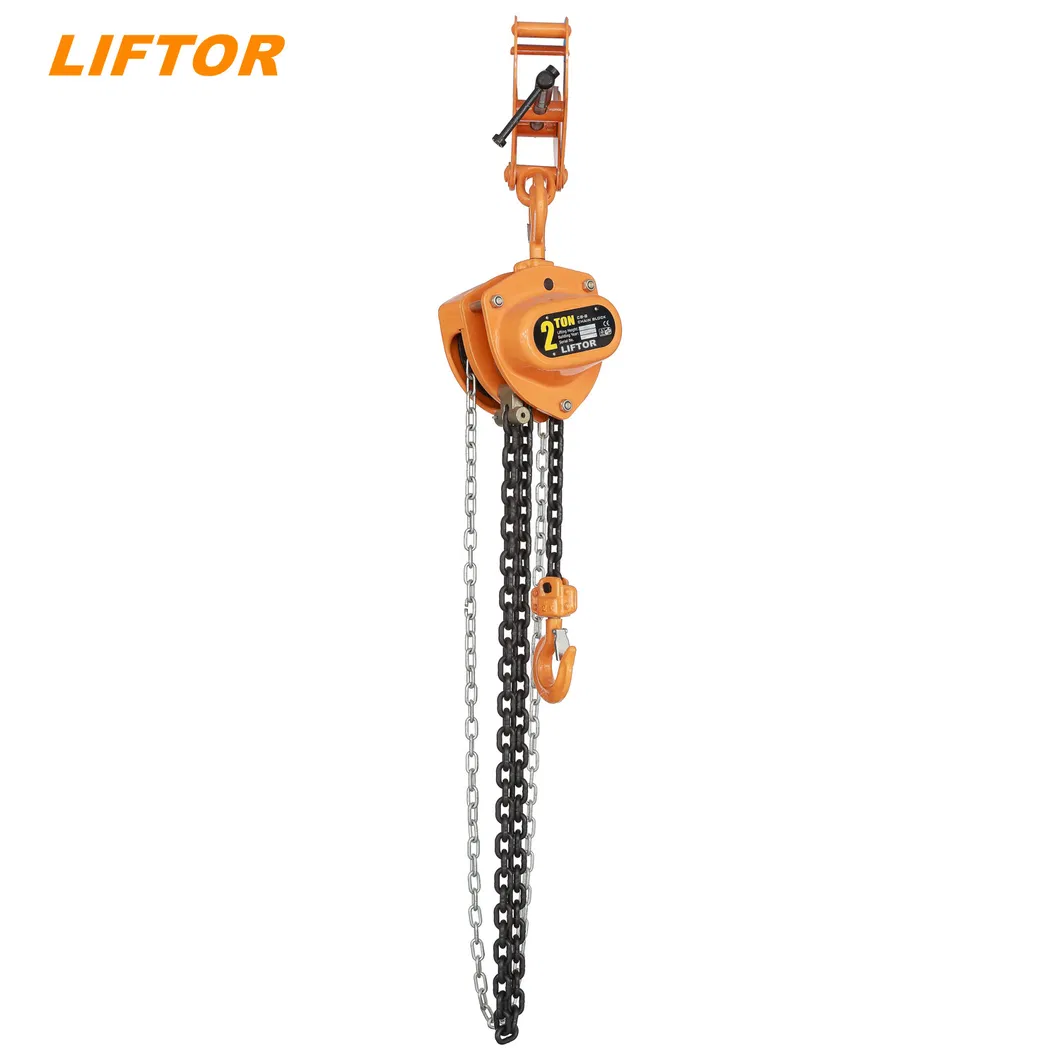 Hot Selling Steel Wire Rope Electric Telpher Hoist with CE ISO