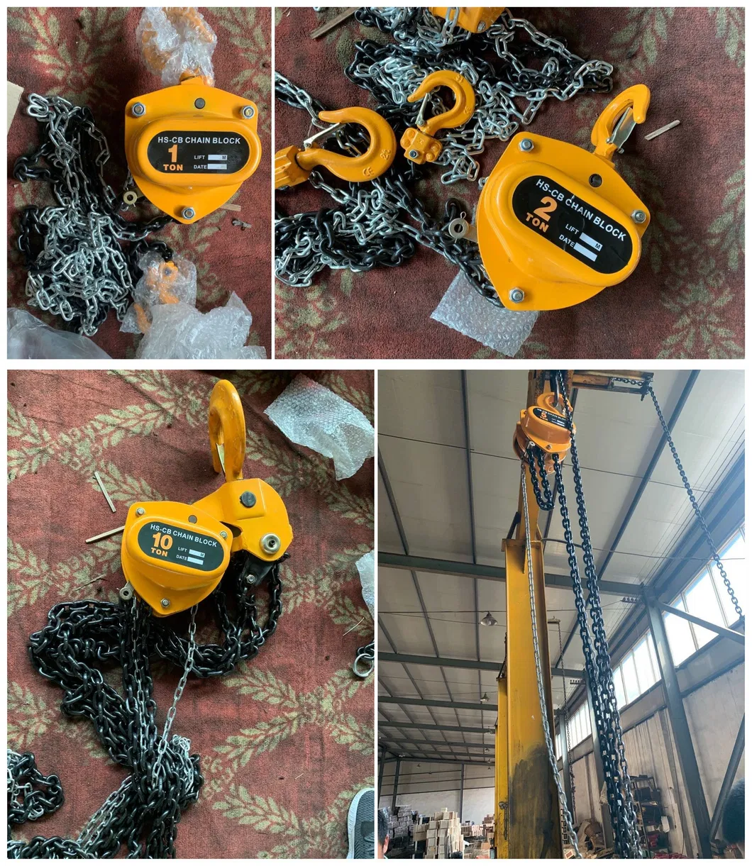 Hot Selling Steel Wire Rope Electric Telpher Hoist with CE ISO