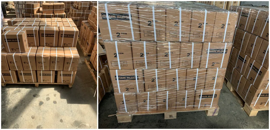 Hot Selling Steel Wire Rope Electric Telpher Hoist with CE ISO