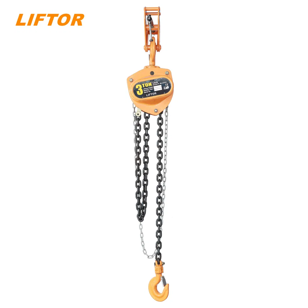 Hot Selling Steel Wire Rope Electric Telpher Hoist with CE ISO