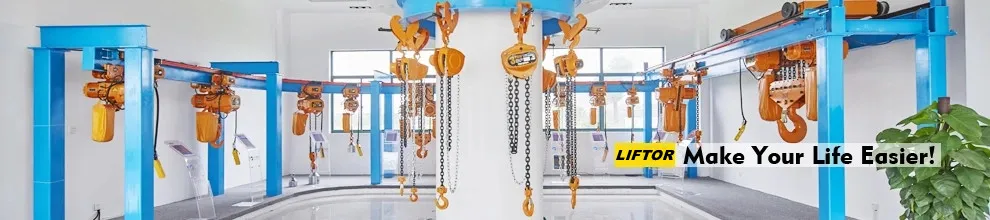 Hot Selling Steel Wire Rope Electric Telpher Hoist with CE ISO