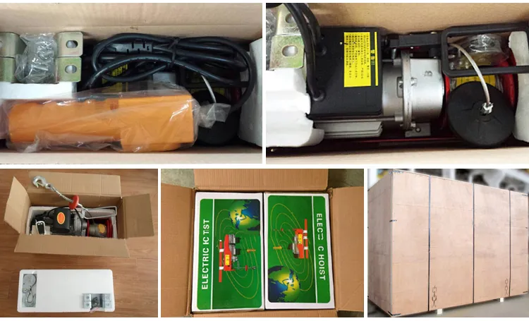 Hugo Manufacture of Mini Electric Hoist 100kg