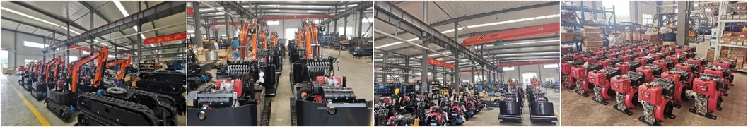 Hydraulic Mini Bagger Wolf Excavator Mini for Farming