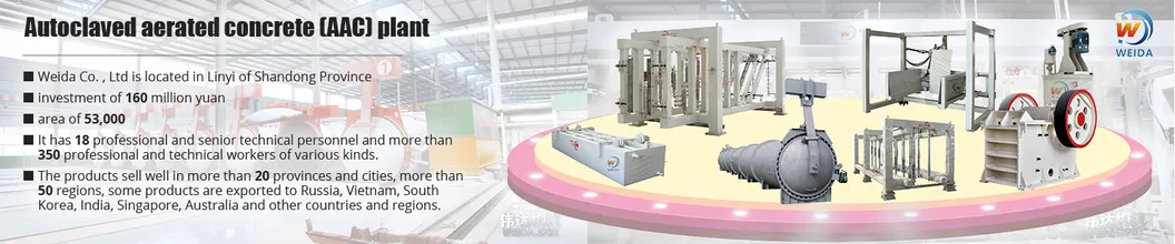 Professional Construction Building Foamed AAC Block Clc Cellular Light Weight Concrete Blocks Making Machine