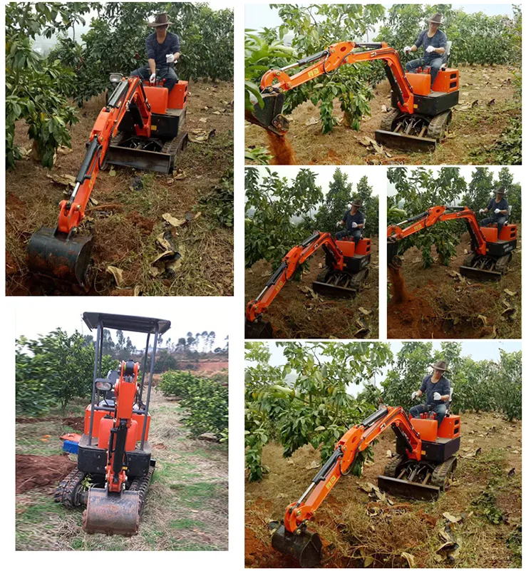 Shanding Mini Crawler Excavator SD90e Rotary Motor Eaton