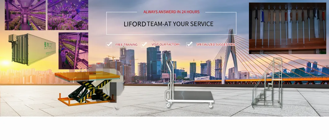 Super Low Profile Stationary Electric Lift Table Hy1003 Series