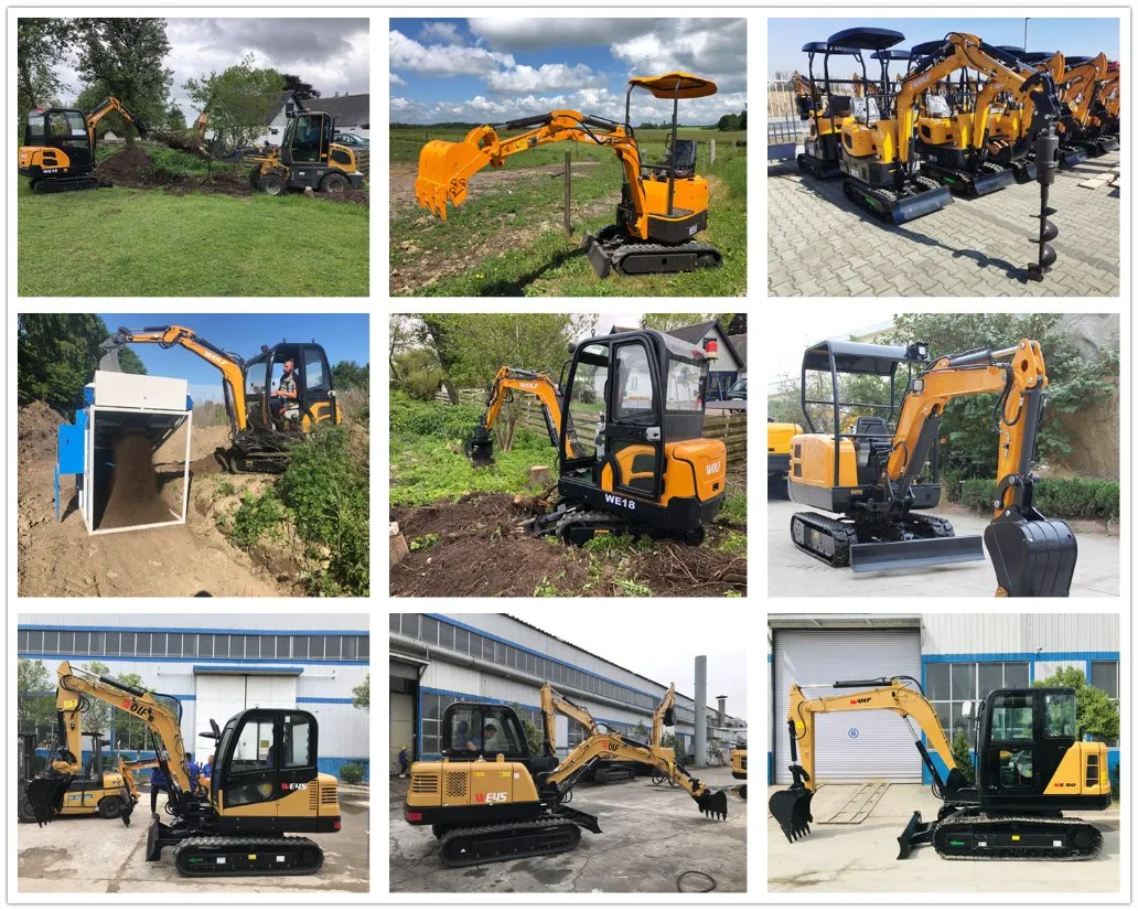 Wolf We25 2t/2.5t/3t Crawler Mini Digger with Enclosed Cabin
